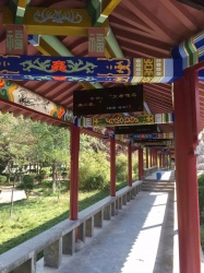 古建筑彩绘案例【室内墙绘】